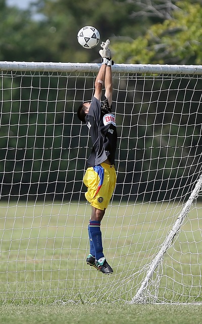 最终取得胜 最终取得胜