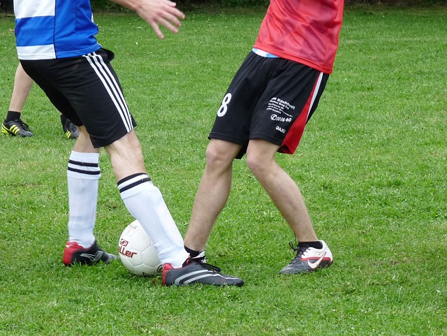 化迈出了重 化迈出了重